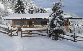 Cozy Chalet in Niederndorf bei Kufstein near Ski Area